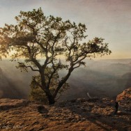 Grand Canyon Morning