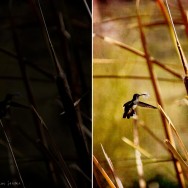 before and after textures