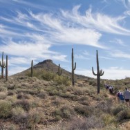 Two Mountain Loop with MSC