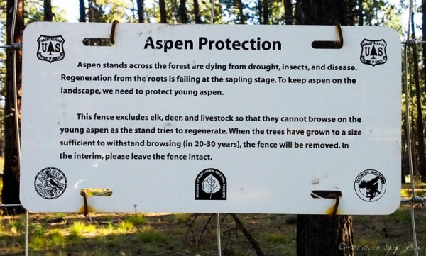 Sign explaining why the Aspen are in need of protection.
