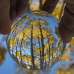 mjensen_glass-ball-fall-4532