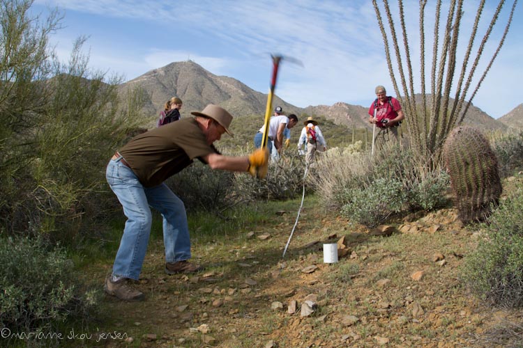 dixie mine - set traps