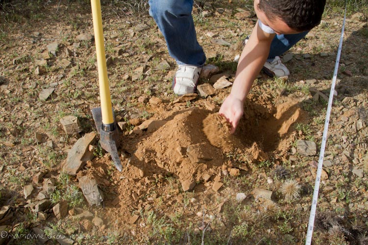 dixie mine - set traps