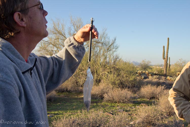 small mammal survey - gateway