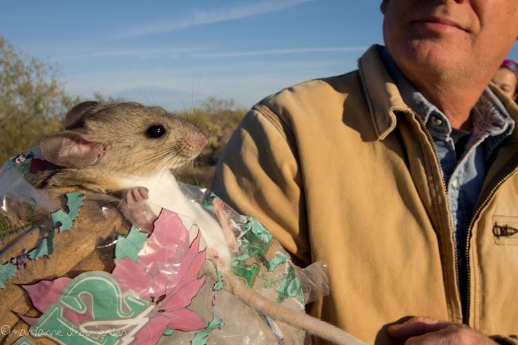 small mammal survey - gateway