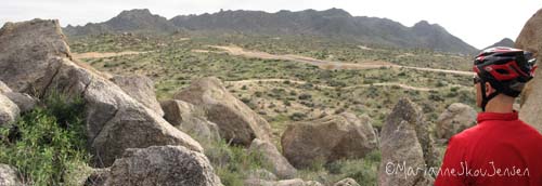 McDowell Mountains in the distance have been preserved.