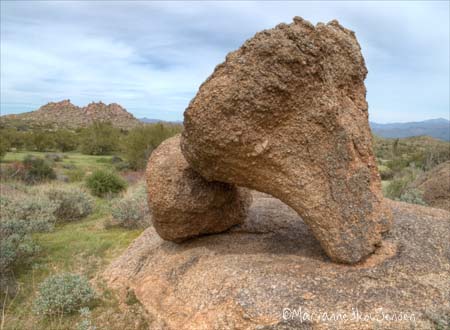 One of the many interesting rocks at Rock Knob