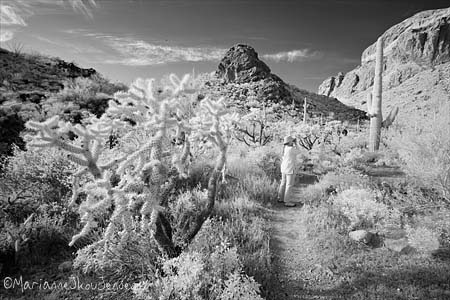 Infrared photographer on Organ Pipe Trail