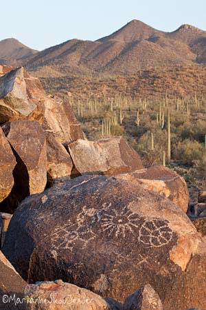 Petroglyphs in Saguaro National Monument