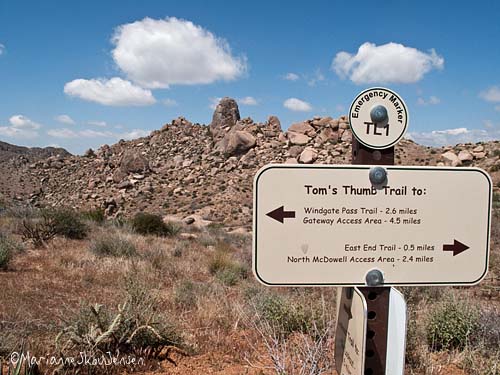 Tom's Thumb Trail Sign in McDowell Sonoran Preserve
