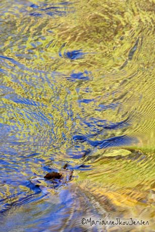 oak creek reflection