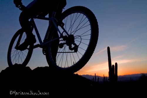 mountain bike silhouette