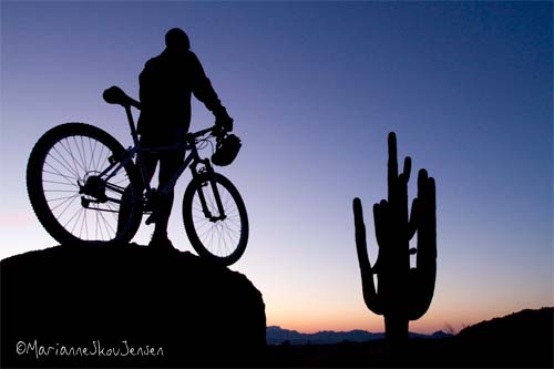 mountain biker silhouette