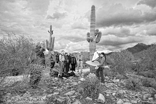 gateway trailhead, mcdowell sonoran preserve