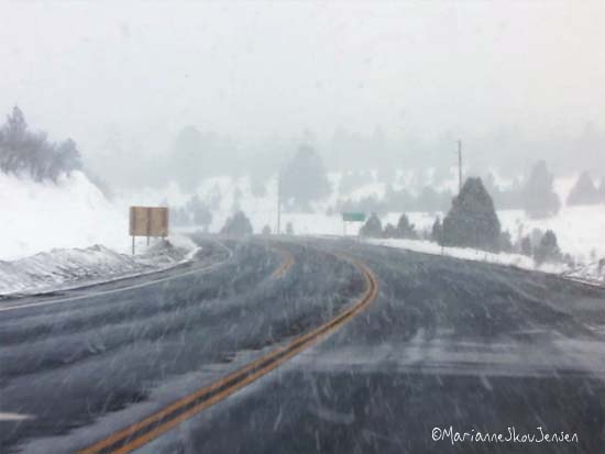 snowy drive